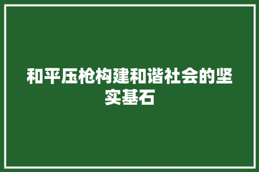 和平压枪构建和谐社会的坚实基石