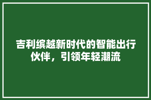 吉利缤越新时代的智能出行伙伴，引领年轻潮流