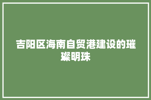 吉阳区海南自贸港建设的璀璨明珠