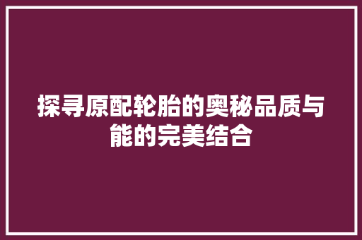 探寻原配轮胎的奥秘品质与能的完美结合