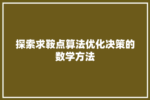 探索求鞍点算法优化决策的数学方法
