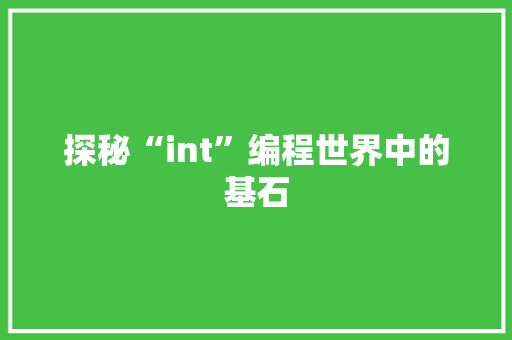探秘“int”编程世界中的基石