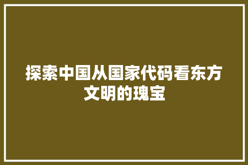探索中国从国家代码看东方文明的瑰宝