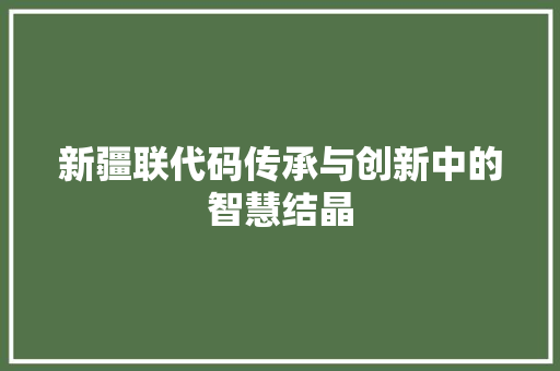 新疆联代码传承与创新中的智慧结晶