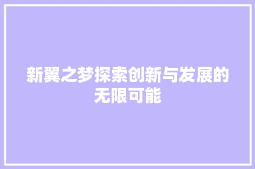 新翼之梦探索创新与发展的无限可能
