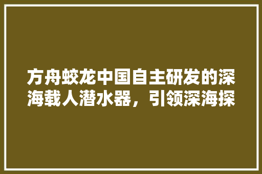 方舟蛟龙中国自主研发的深海载人潜水器，引领深海探索新时代