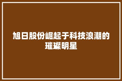 旭日股份崛起于科技浪潮的璀璨明星