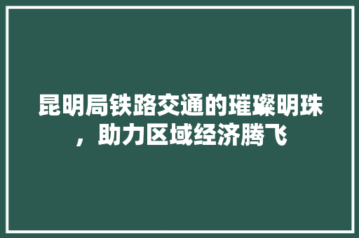 昆明局铁路交通的璀璨明珠，助力区域经济腾飞