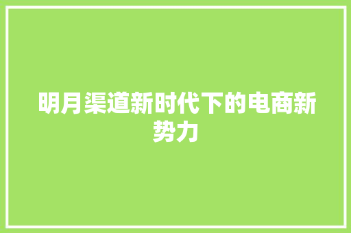 明月渠道新时代下的电商新势力