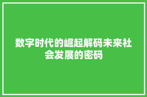 数字时代的崛起解码未来社会发展的密码