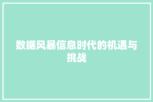 数据风暴信息时代的机遇与挑战