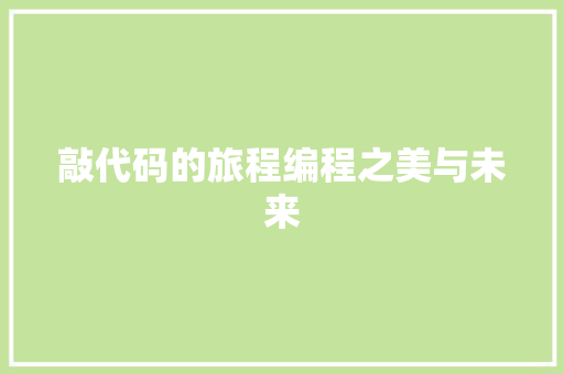 敲代码的旅程编程之美与未来