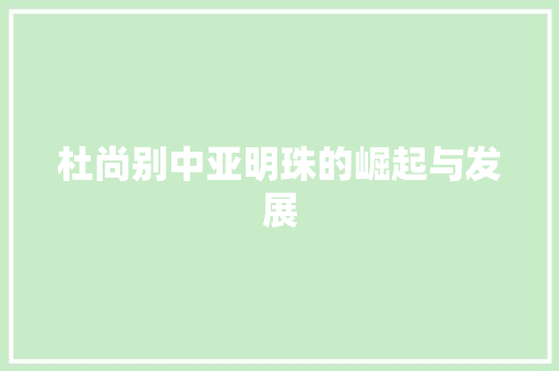 杜尚别中亚明珠的崛起与发展