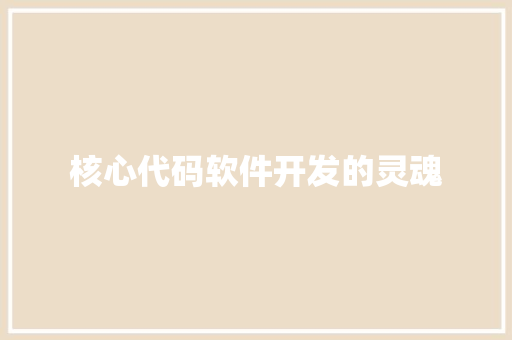 核心代码软件开发的灵魂