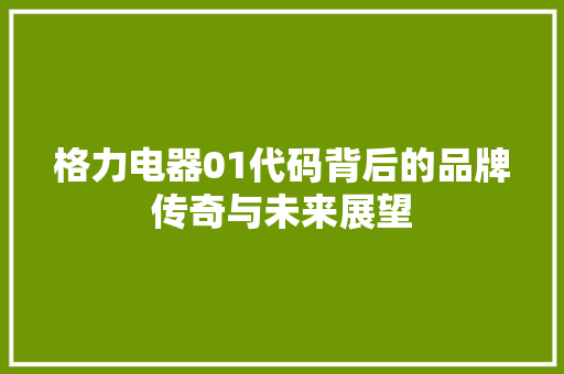 格力电器01代码背后的品牌传奇与未来展望