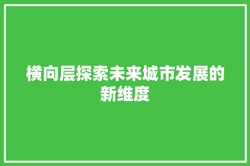 横向层探索未来城市发展的新维度
