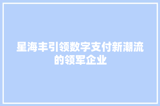 星海丰引领数字支付新潮流的领军企业