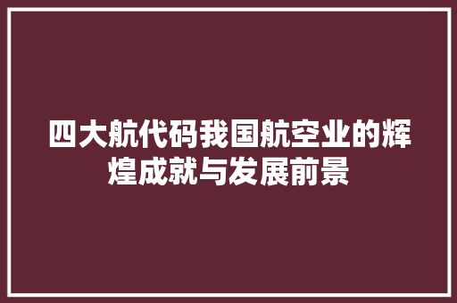 四大航代码我国航空业的辉煌成就与发展前景