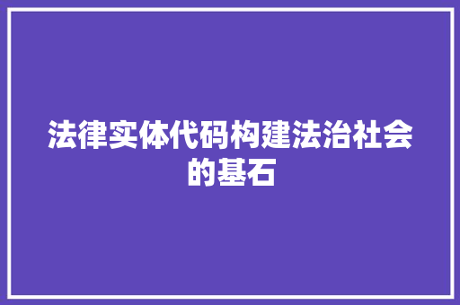 法律实体代码构建法治社会的基石
