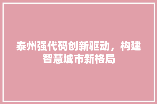 泰州强代码创新驱动，构建智慧城市新格局
