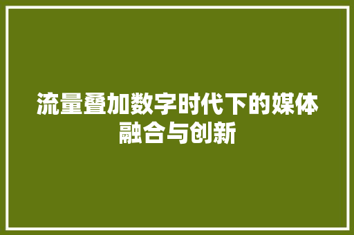 流量叠加数字时代下的媒体融合与创新