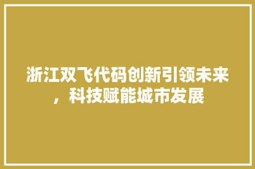 浙江双飞代码创新引领未来，科技赋能城市发展
