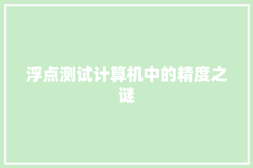浮点测试计算机中的精度之谜