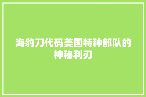 海豹刀代码美国特种部队的神秘利刃