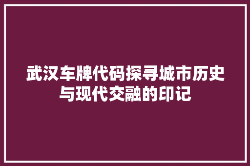 武汉车牌代码探寻城市历史与现代交融的印记