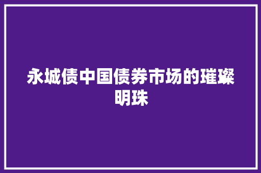 永城债中国债券市场的璀璨明珠