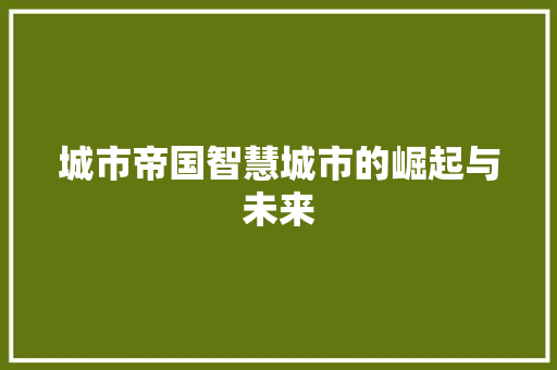 城市帝国智慧城市的崛起与未来