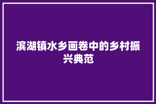 滨湖镇水乡画卷中的乡村振兴典范