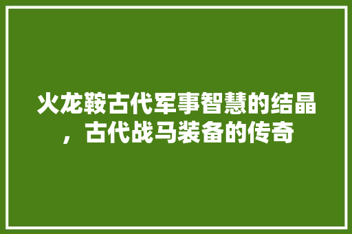 火龙鞍古代军事智慧的结晶，古代战马装备的传奇