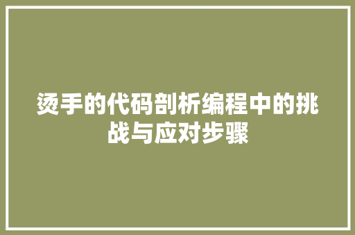 烫手的代码剖析编程中的挑战与应对步骤