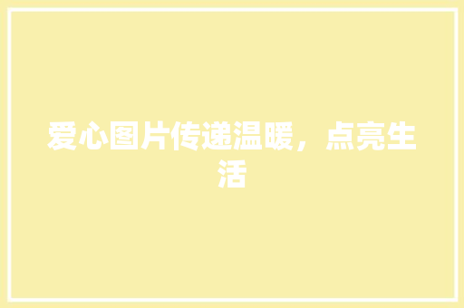 爱心图片传递温暖，点亮生活
