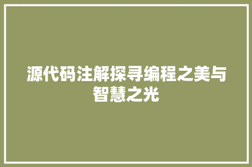 源代码注解探寻编程之美与智慧之光