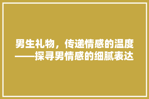 男生礼物，传递情感的温度——探寻男情感的细腻表达