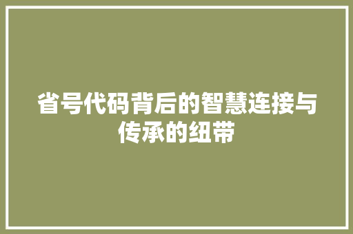省号代码背后的智慧连接与传承的纽带