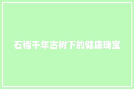石榴千年古树下的健康瑰宝