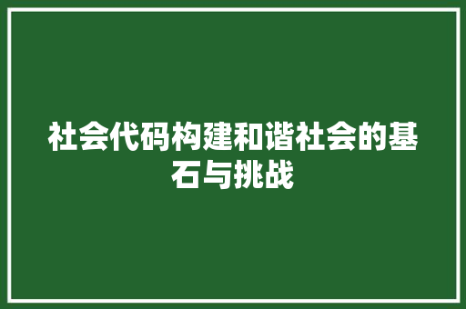 社会代码构建和谐社会的基石与挑战