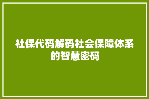 社保代码解码社会保障体系的智慧密码