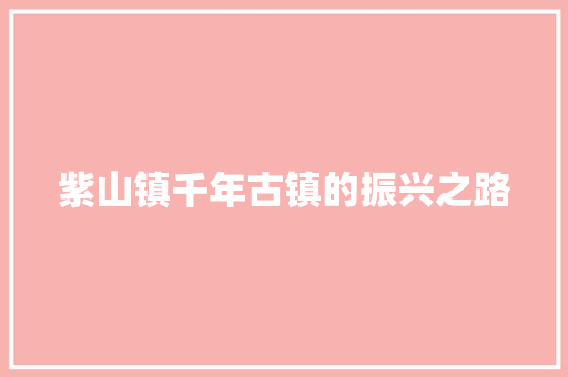 紫山镇千年古镇的振兴之路