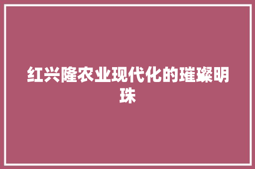 红兴隆农业现代化的璀璨明珠