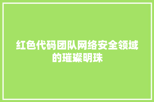 红色代码团队网络安全领域的璀璨明珠
