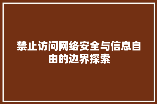 禁止访问网络安全与信息自由的边界探索