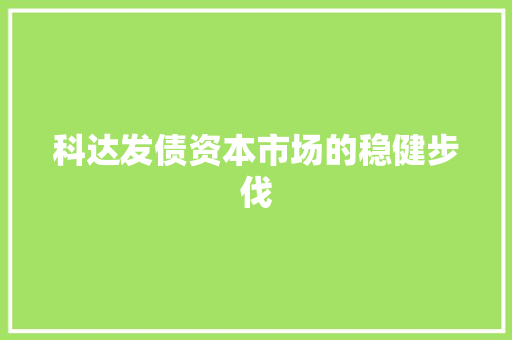 科达发债资本市场的稳健步伐