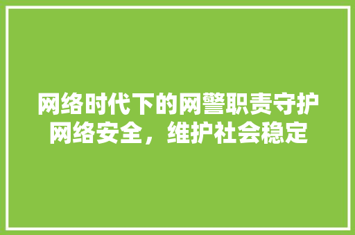 网络时代下的网警职责守护网络安全，维护社会稳定