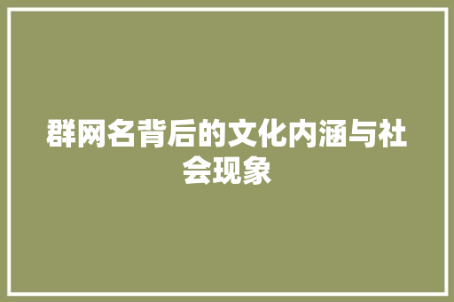 群网名背后的文化内涵与社会现象