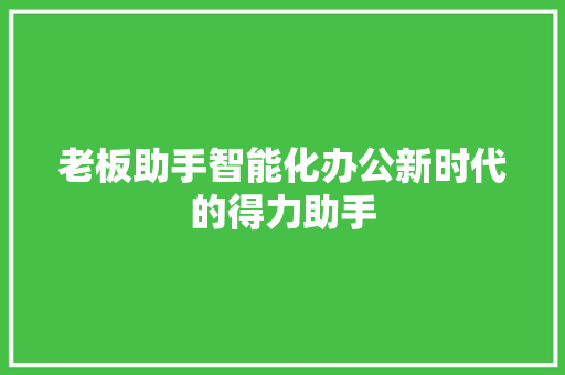 老板助手智能化办公新时代的得力助手