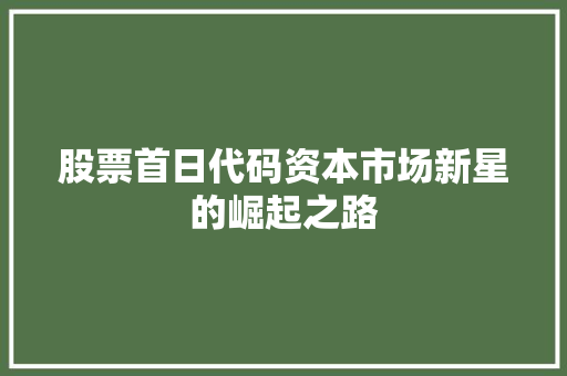 股票首日代码资本市场新星的崛起之路